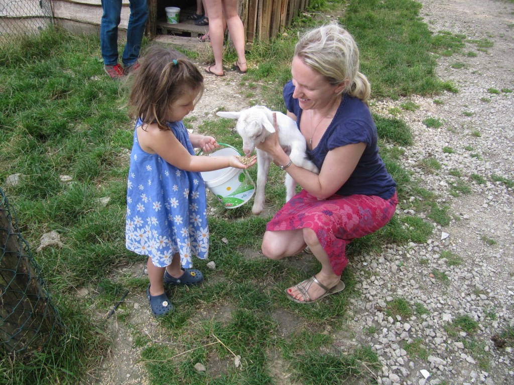 Enfant nourrissant une chèvre