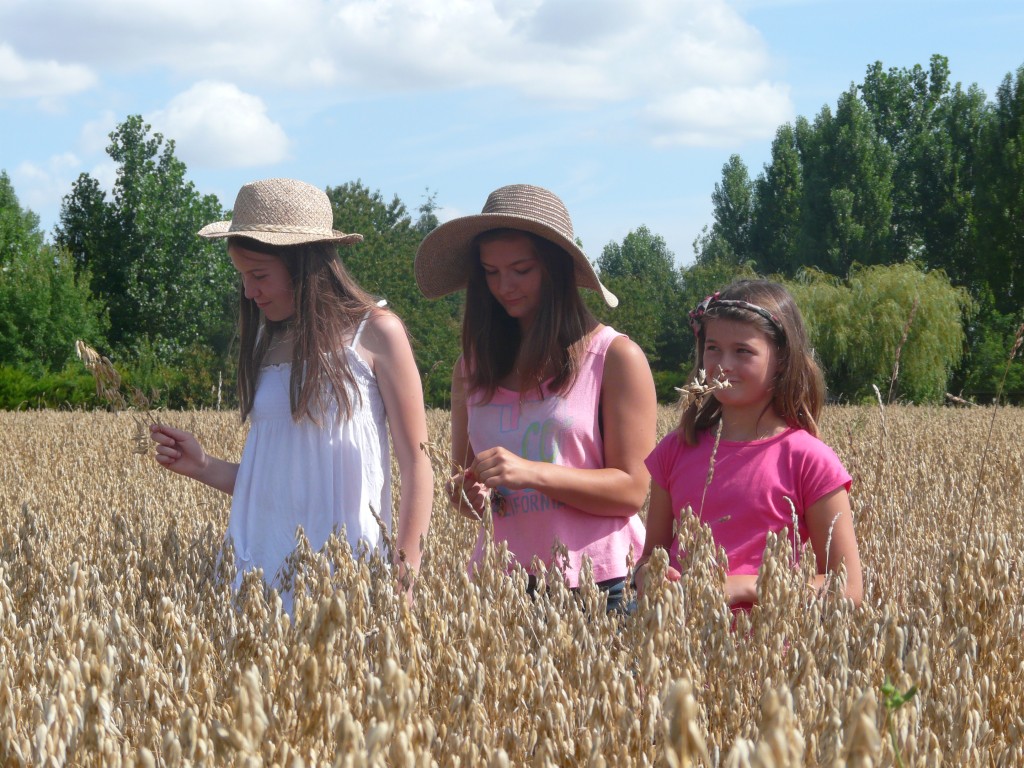 Adolescentes dans un champ de blé