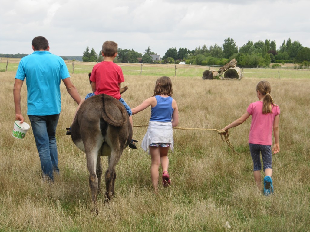 Vue sur un champ avec des enfants, un accompagnateur et un âne