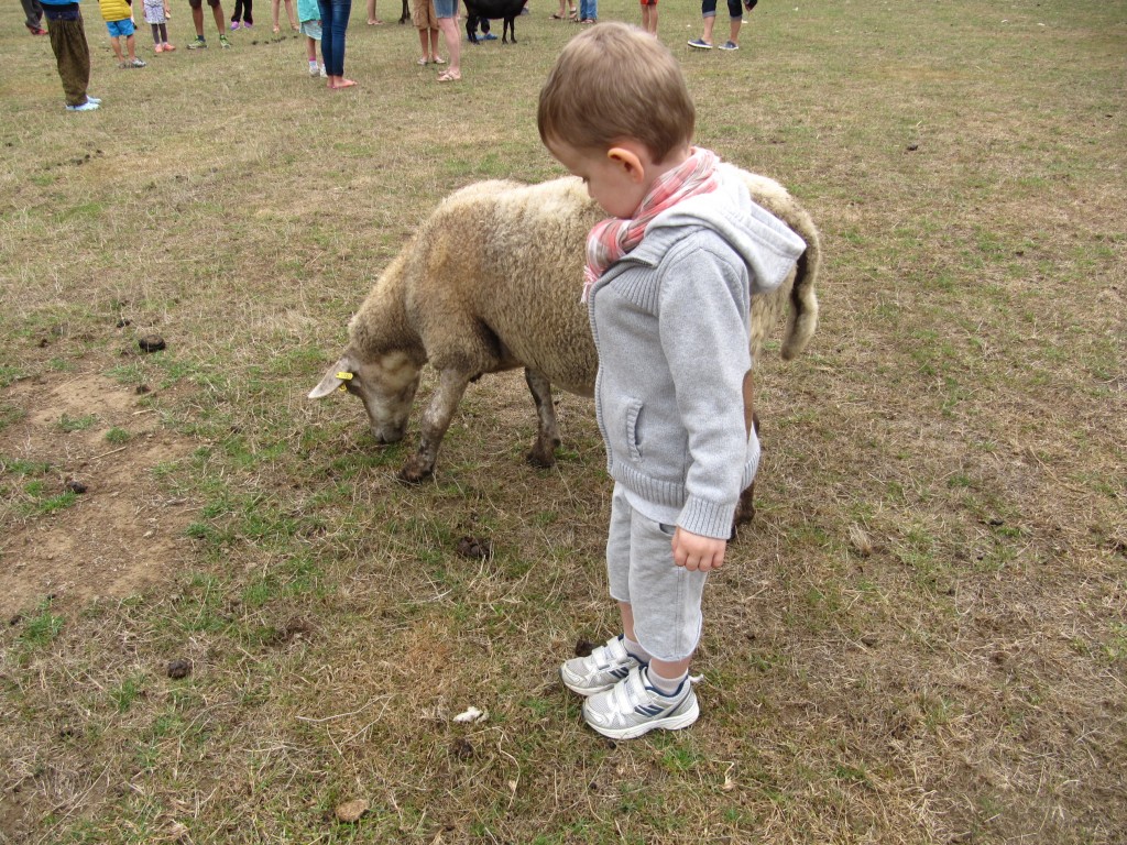 Enfant à côté d'une chèvre
