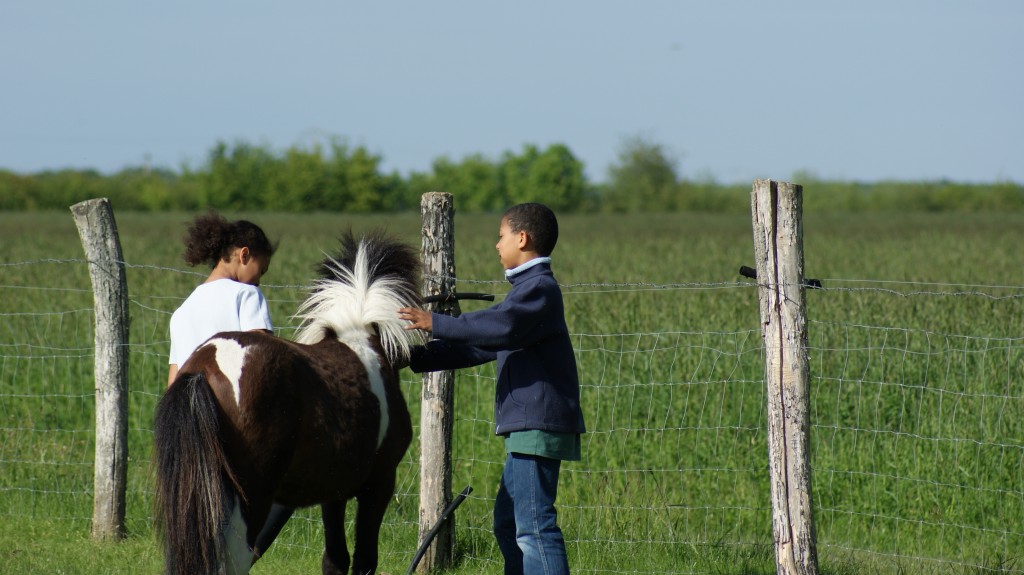 Vue sur un champ où deux enfants caressent un âne