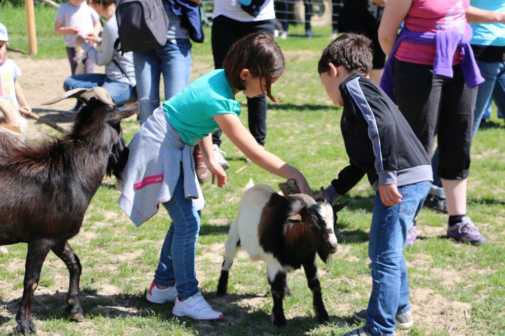 Deux enfants caressant une chèvre